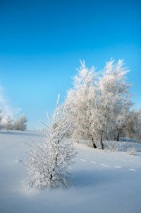 Frosty day on the top of the mountain