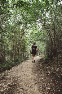 Rear view of man walking on footpath in forest