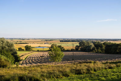 Scenic view of agricultural field against clear sky