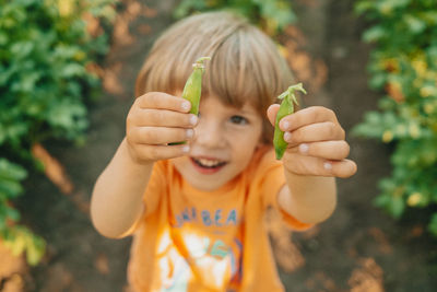 Cute boy showing green peas in farm