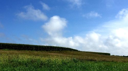 Scenic view of grassy field against cloudy sky