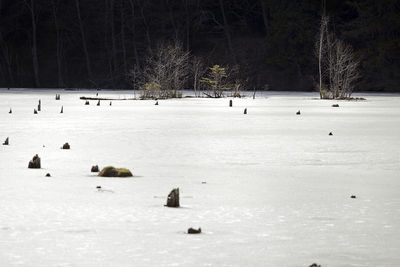 Scenic view of frozen lake during winter