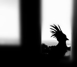 Side view of silhouette horse in glass window