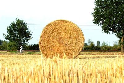 Hay bales on field against sky