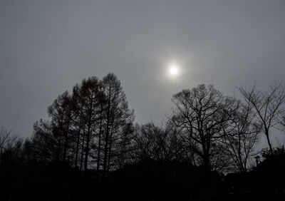 Low angle view of silhouette trees against sky at night