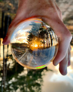 Close-up of person holding glass