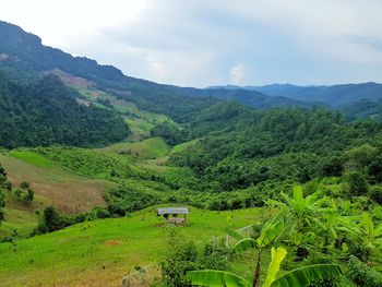 Scenic view of agricultural field against sky