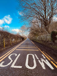 Road amidst bare tree against sky