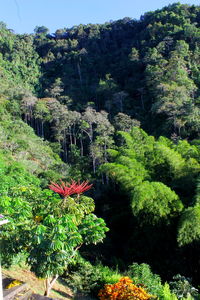 Trees growing on green landscape