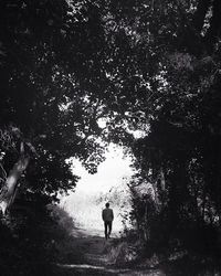 Rear view of woman walking in park