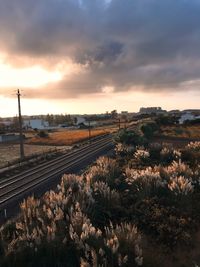 Train on field against sky during sunset
