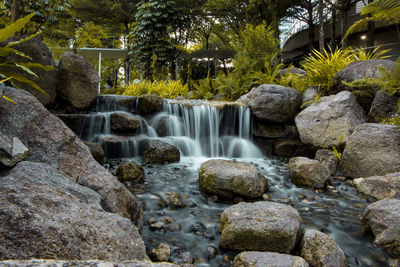 Scenic view of waterfall in forest