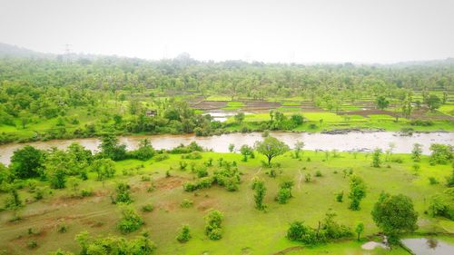 Scenic view of landscape against clear sky