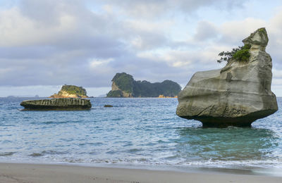 Cathedral cove of mercury bay on the coromandel peninsula at the north island of new zealand