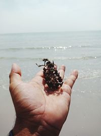 Close-up of hand holding sea at beach
