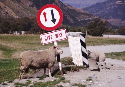 Information sign on mountain road