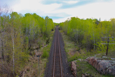 Railway tracks along trees and plants