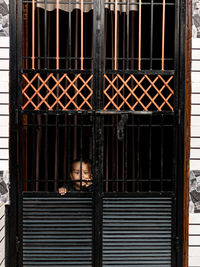 Portrait of man against window in building