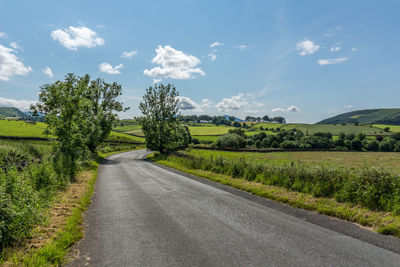 Tress by road