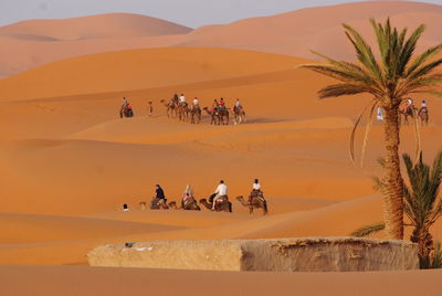 People on sand dune in desert