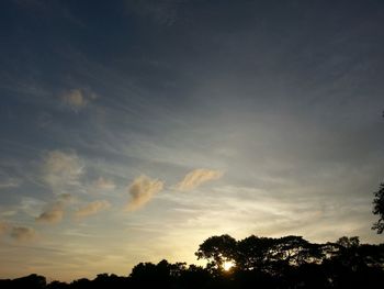 Silhouette of trees at sunset