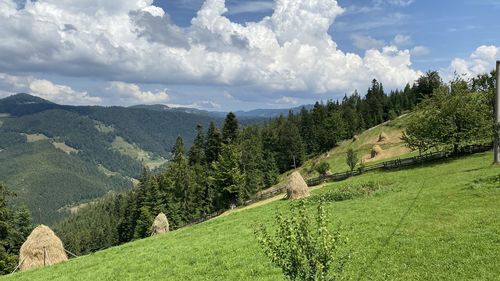 Panoramic view of landscape against sky