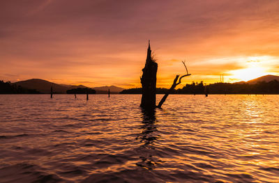 Scenic view of sea at sunset