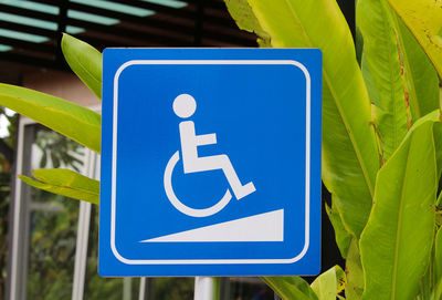 Close-up of disabled sign against plants