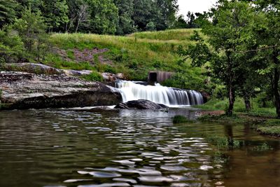 Scenic view of waterfall in forest