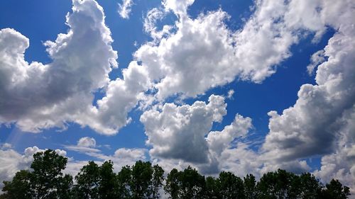 Low angle view of trees against sky