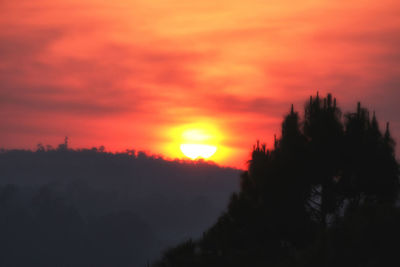 Silhouette of trees at sunset