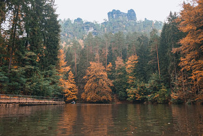 Scenic view of lake in forest during autumn