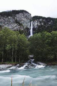 Scenic view of waterfall against trees in forest