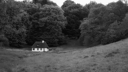 House amidst trees and plants on field