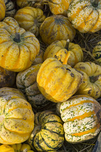 High angle view of pumpkins in market