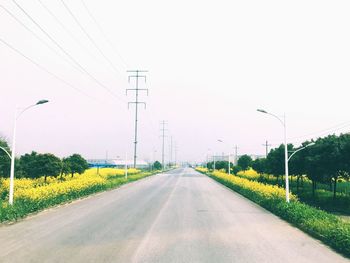 Road by trees against clear sky