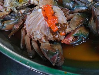 High angle view of fish in container