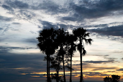 Low angle view of silhouette trees against sky during sunset