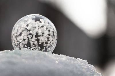 Close-up of frozen ball