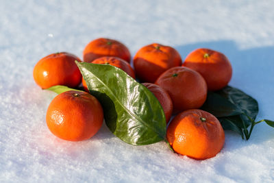 Close-up of orange fruits