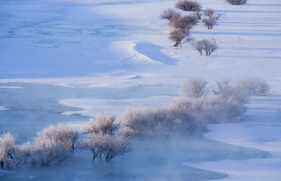 Close-up of tree by water against sky