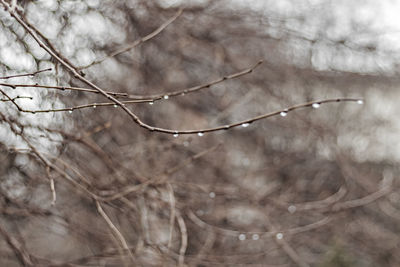 Full frame shot of snow covered land