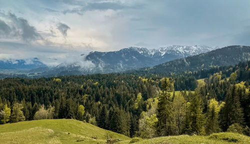 Panoramic view of mountains and forests with clouds