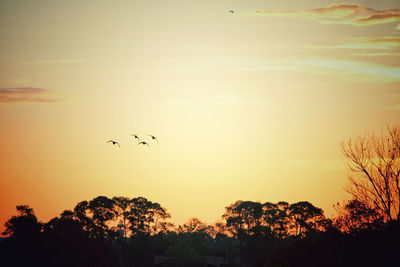 Silhouette birds flying against sky during sunset