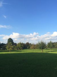 Scenic view of field against blue sky