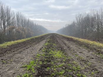 Road amidst field against sky