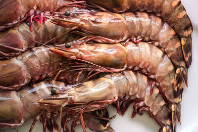 Close-up of fish for sale in market