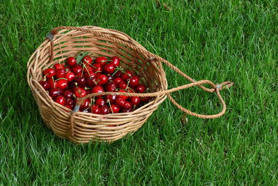 Fruits in basket on field