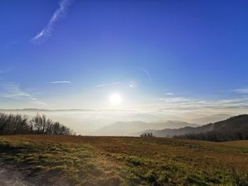 Scenic view of field against sky