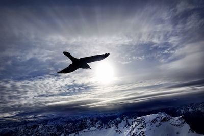 Silhouette bird flying over snowcapped mountains against sky